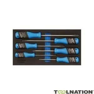Gedore 2309130 1500 CT1-2150 PH Jeu de tournevis 3-C en module CT 6 pièces