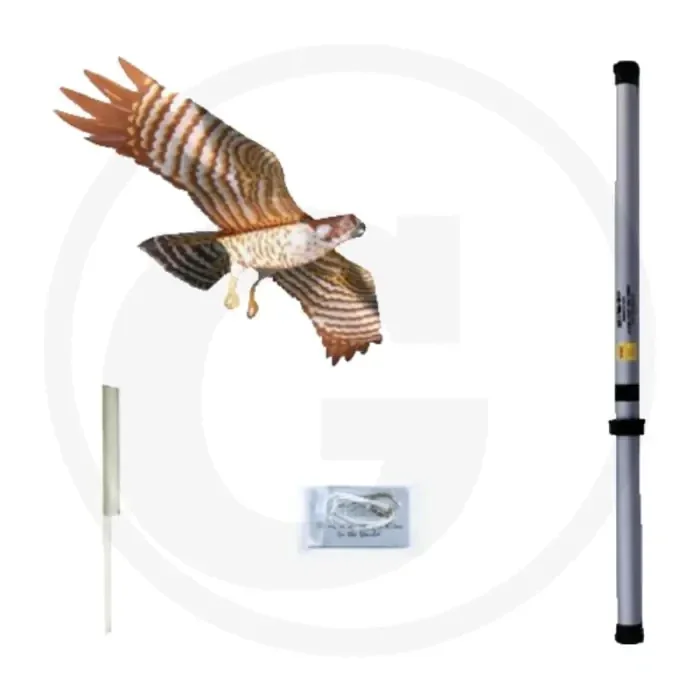 Vogelverschrikker draak – weerbestendig